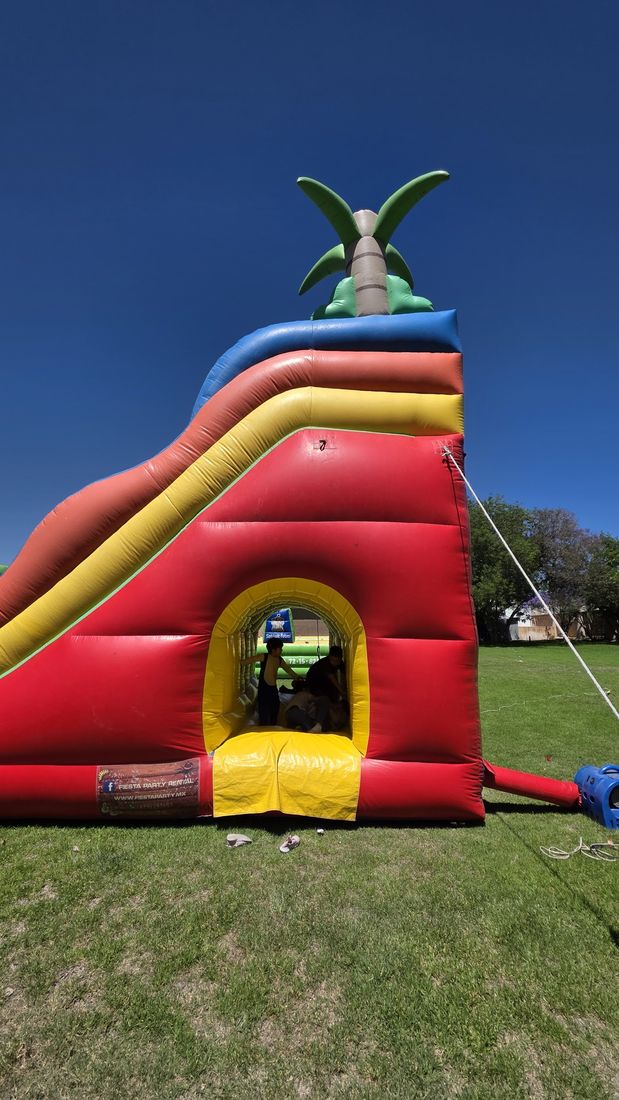 Castillo con tobogán